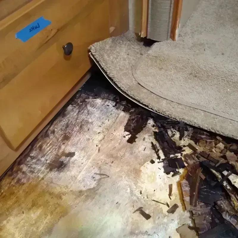 Wood Floor Water Damage in Helena, AR